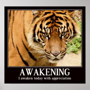 Omskakning,uppskattning_ Poster