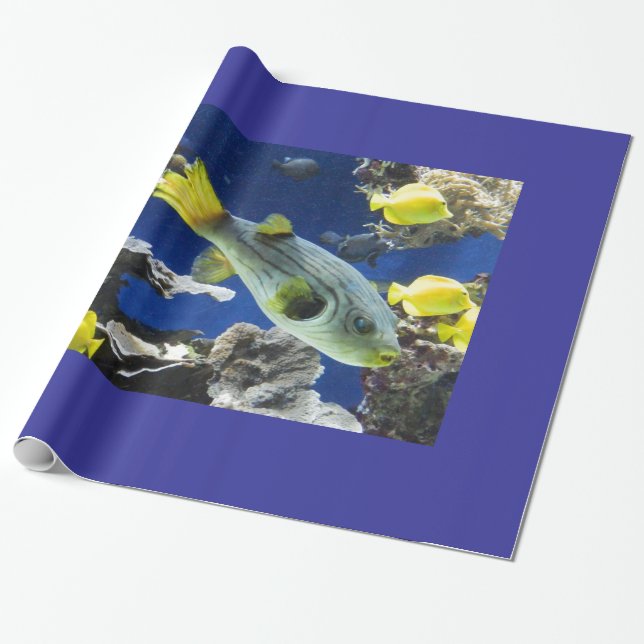 Omslagning av papper fisk under havet presentpapper (Utrullad)
