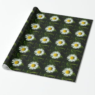 Omslagning av stora Daisy Pappert Presentpapper