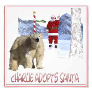 Omslagsbild till Charlie adopterar tomten Fototryck