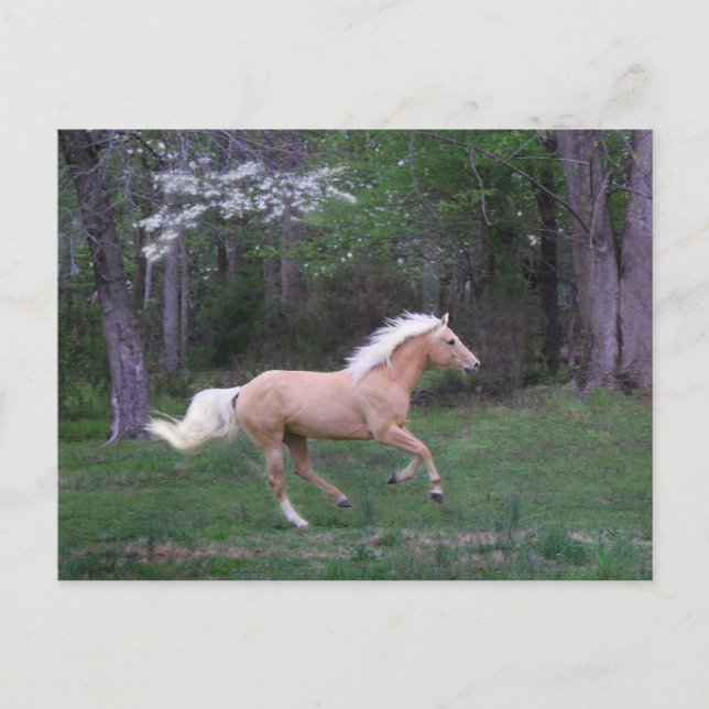 Omsorg frigör vykort (Framsida)