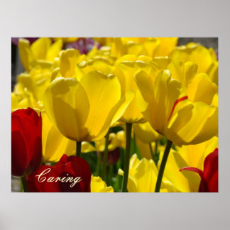 Omsorgsfullt konsttryck Gul Tulpan Blomma Healing Poster