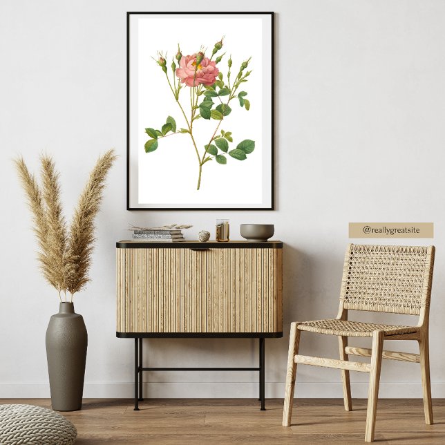 Ömt Rosa Ros Botaniskt Konsttryck Poster (Skapare uppladdad)
