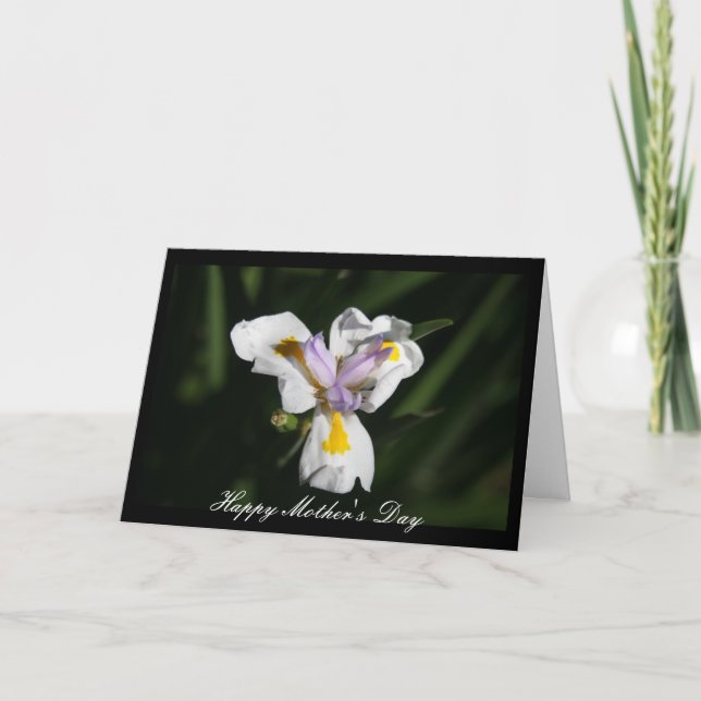 ömtålig mor Erblommor Kort (Framsida)