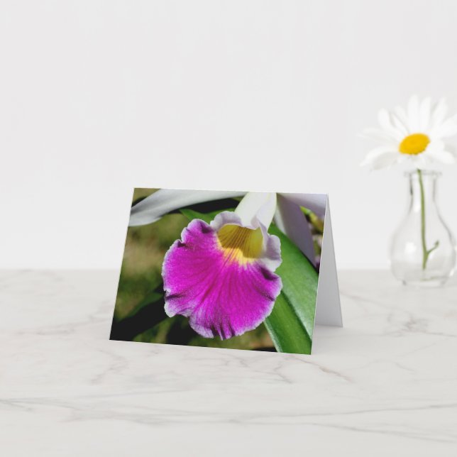 Ömtålig orkidéblomma fotografering notering kort (Liten växt)