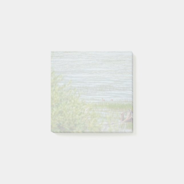 Ömtålig rörelse post-it block (Framsida)