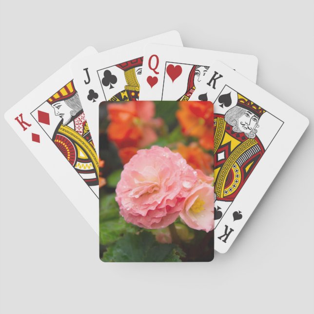 Ömtålig rosa blomma efter regnet casinokort (Baksidan)