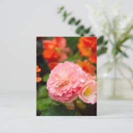 Ömtålig rosa blomma efter regnet  vykort