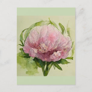 Ömtålig rosa peon vykort