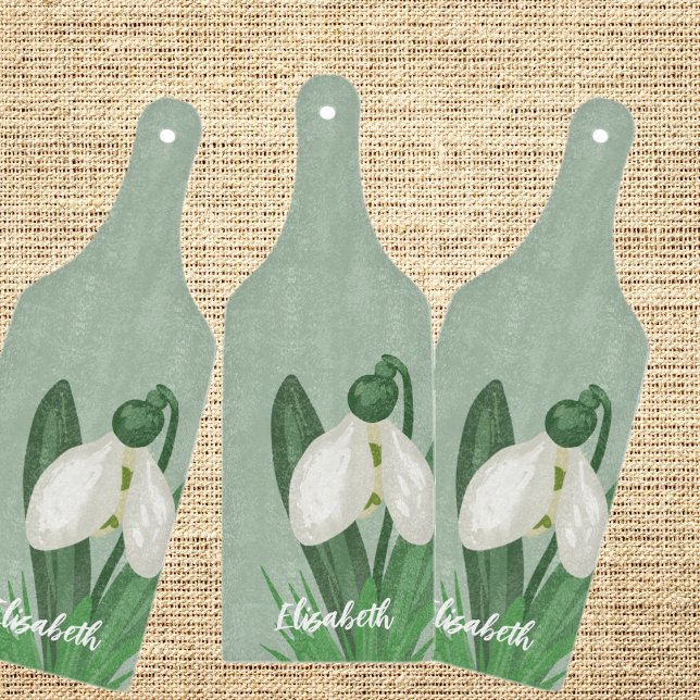 Ömtålig vår snödroppsblomma (Skapare uppladdad)