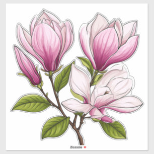 Ömtåliga rosa magnoliablommor på gren klistermärken