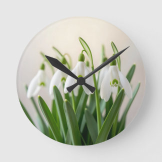 Ömtåliga vita snödroppsblommor vårblomning rund klocka
