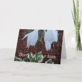 Ömtåliga vita Sun Hosta-blommor på en kondoleans Kort