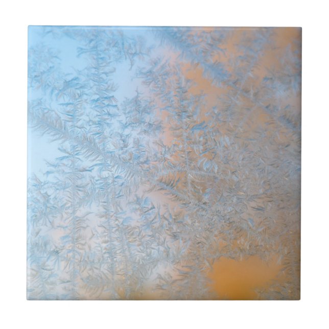 Ömtåligt frostmönster, Wisconsin Kakelplatta (Framsidan)