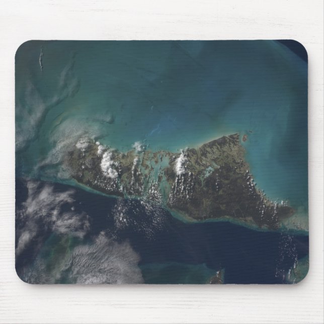 ön Bahamas'Andros Musmatta (Framsidan)