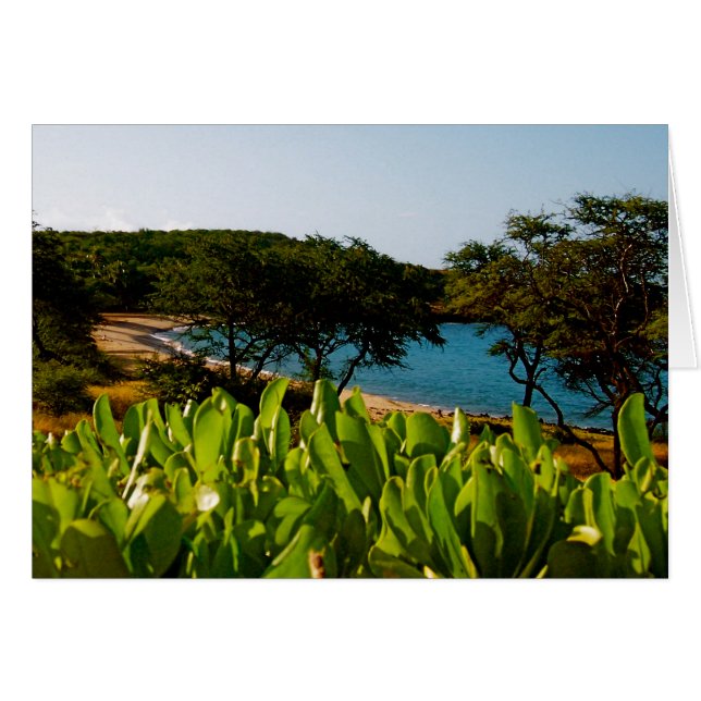 ön Lanai i Hawaii Hälsningskort (Framsidan Horizontal)
