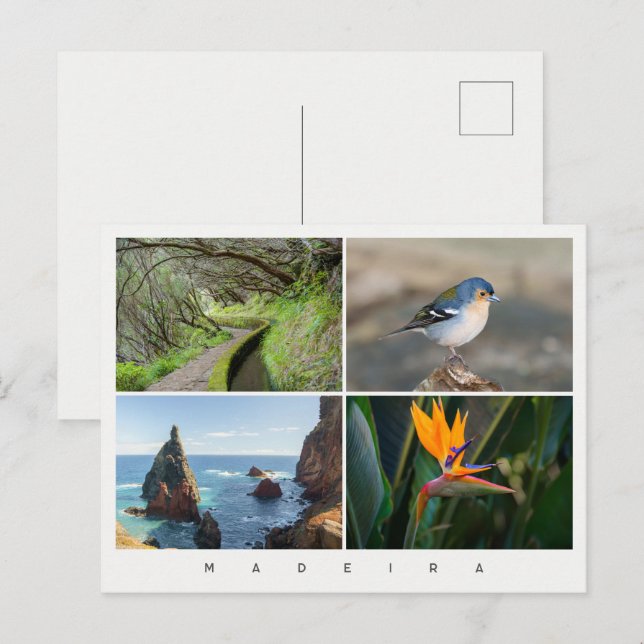 Ön Madeira fotokollage, modern resa Vykort (Fram/baksida)