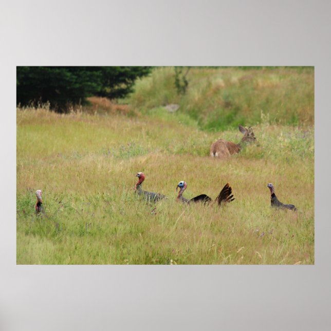 "On Patrol" Poster (Framsidan)