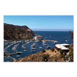 ön Santa Catalina Fototryck