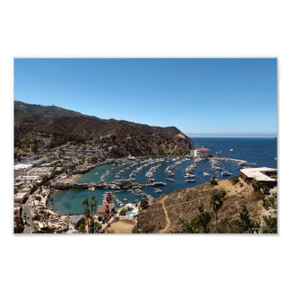 ön Santa Catalina Fototryck