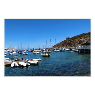 ön Santa Catalina Fototryck