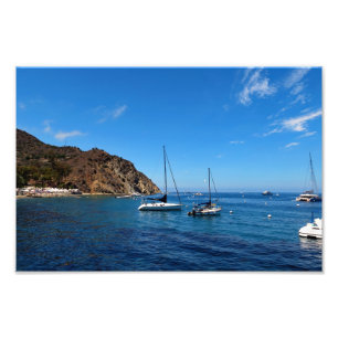 ön Santa Catalina Fototryck