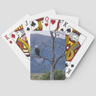 On Watch Playing Cards Casinokort