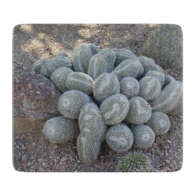 Onamngivna Cactus (Framsidan)