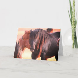 ONAQUI HERD VILD HORSE GREETING CARD KORT