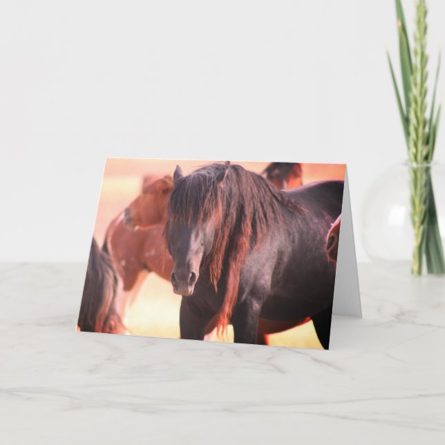 ONAQUI HERD VILD HORSE GREETING CARD KORT (Framsida)