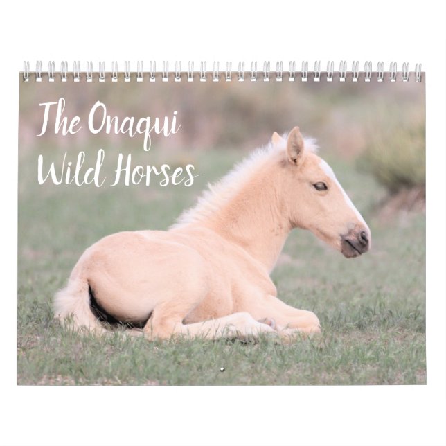 Onaqui Vild Horses Calendar Kalender (Omslag)