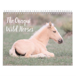 Onaqui Vild Horses Calendar Kalender