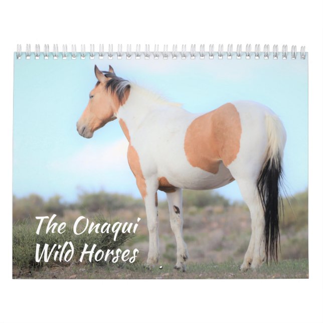 Onaqui Vild Horses Calendar Kalender (Omslag)