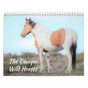 Onaqui Vild Horses Calendar Kalender