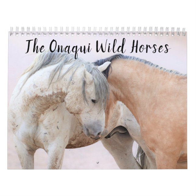 Onaqui Vild Horses Calendar Kalender (Omslag)