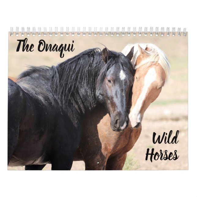 Onaqui Vild Horses Calendar Kalender (Omslag)