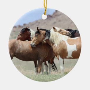 Onaqui Vild Horses Ornament
