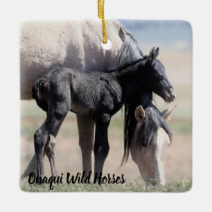 Onaqui Vild Horses Ornament