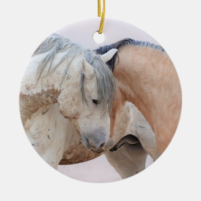 Onaqui Vild Horses Ornament (Framsidan)