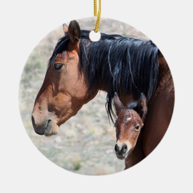 Onaqui Vild Horses Ornament (Framsidan)