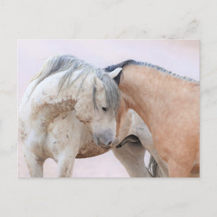 Onaqui Vild Horses Vykort