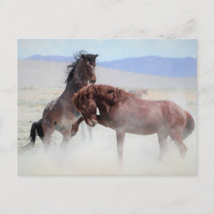 Onaqui Vild Horses Vykort