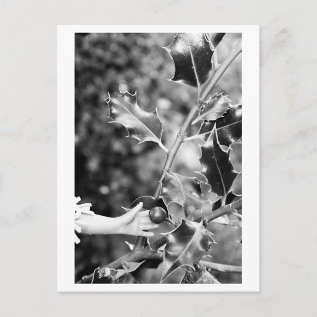 Once upon a time in the woods vykort (Framsida)