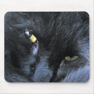 Ond katt Mousepad Musmatta