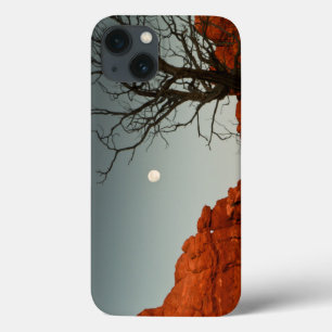 Ond måne