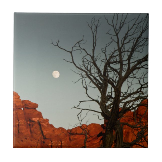 Ond måne kakelplatta (Framsidan)