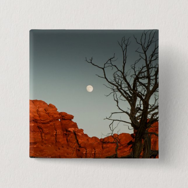 Ond måne knapp (Framsida)