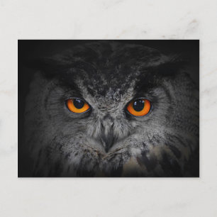 Onda Ögon. (Eagle Uggla, Bubo Bubo) Vykort