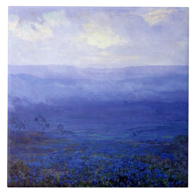 Onderdonk - Blånät i Texas Kakelplatta (Framsidan)
