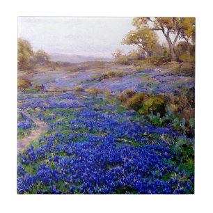 Onderdonk - Blånät i Twilight, norr om San Kakelplatta